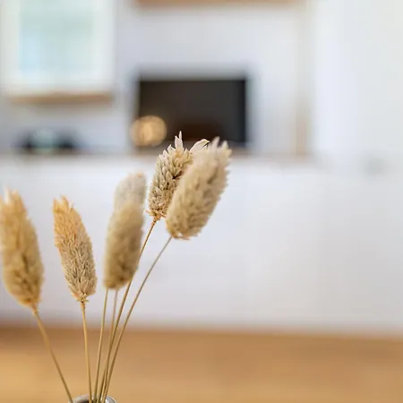 Frisia App 27 Apartment